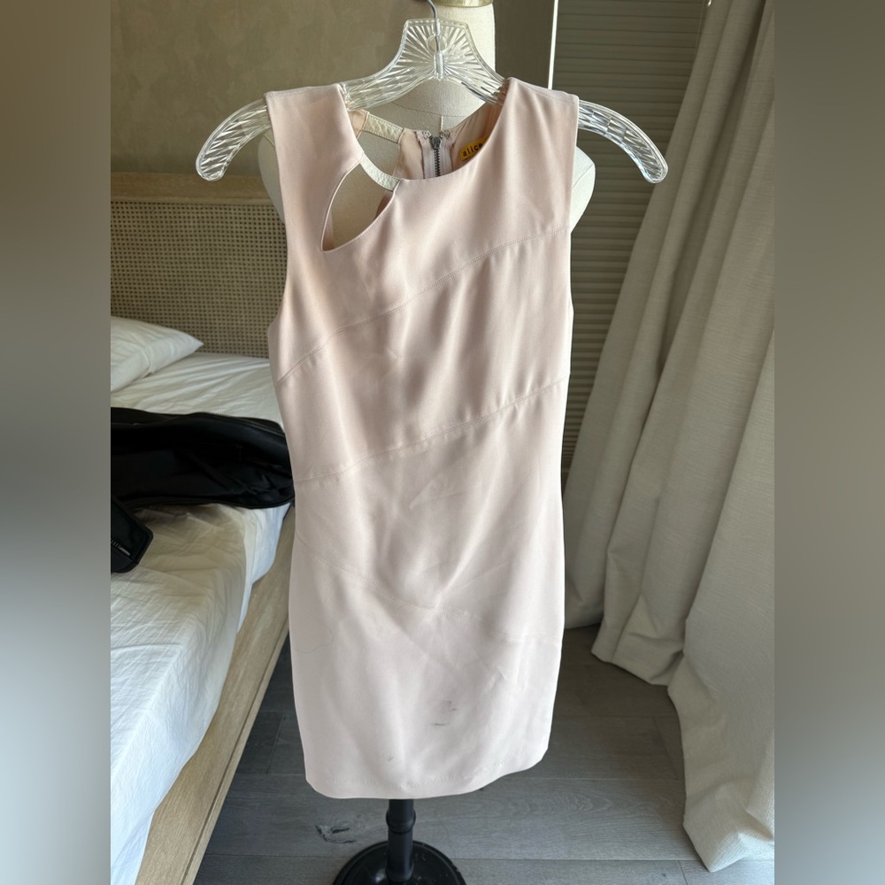 Alice and Olivia Dress